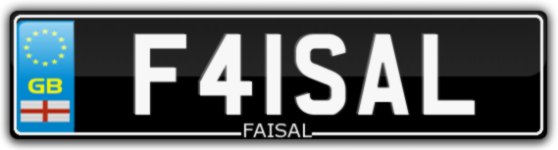 F41SAL